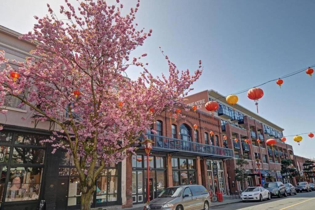 ויקטוריה Clean 3Rd Floor Executive 1 Bedroom Apt In Old Town China Town מראה חיצוני תמונה